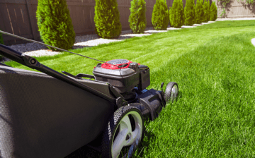 Lawn mower in the garden on green grass